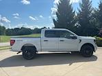 2025 Ford F-150 SuperCrew Cab 4x4 Pickup for sale #250629 - photo 6