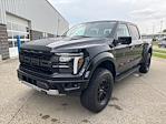2025 Ford F-150 SuperCrew Cab 4x4 Pickup for sale #250645 - photo 3