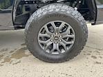 2025 Ford F-150 SuperCrew Cab 4x4 Pickup for sale #250648 - photo 10