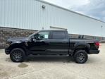 2025 Ford F-150 SuperCrew Cab 4x4 Pickup for sale #250648 - photo 9