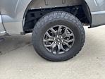 2025 Ford F-150 SuperCrew Cab 4WD Pickup for sale #250650 - photo 10