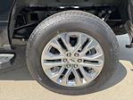 2025 Ford F-150 SuperCrew Cab 4x4 Pickup for sale #250670 - photo 10
