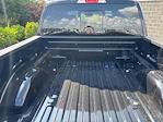 2025 Ford F-150 SuperCrew Cab 4x4 Pickup for sale #250670 - photo 12