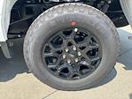 2025 Ford F-150 SuperCrew Cab 4x4 Pickup for sale #250686 - photo 10
