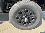 2025 Ford F-250 Crew Cab 4WD Pickup for sale #250697 - photo 10