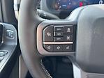 2025 Ford F-150 SuperCrew Cab 4WD Pickup for sale #250700 - photo 20