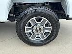 New 2025 Ford F-250 XLT Crew Cab 4x4 Pickup for sale #250725 - photo 10