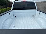 New 2025 Ford F-250 XLT Crew Cab 4x4 Pickup for sale #250725 - photo 12