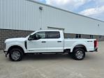 New 2025 Ford F-250 XLT Crew Cab 4x4 Pickup for sale #250725 - photo 9