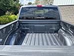2025 Ford F-150 SuperCrew Cab 4WD Pickup for sale #250730 - photo 11