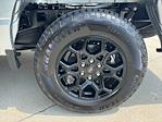 2025 Ford F-150 SuperCrew Cab 4WD Pickup for sale #250731 - photo 10