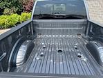 New 2025 Ford F-250 Platinum Crew Cab 4x4 Pickup for sale #250733 - photo 11
