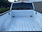 2025 Ford F-150 SuperCrew Cab 4WD Pickup for sale #250757 - photo 12