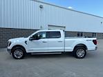 2025 Ford F-150 SuperCrew Cab 4WD Pickup for sale #250757 - photo 9