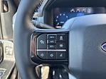 2025 Ford F-150 SuperCrew Cab 4WD Pickup for sale #250759 - photo 19