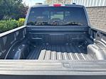 2025 Ford F-150 SuperCrew Cab 4x4 Pickup for sale #250760 - photo 12