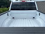 2025 Ford F-150 SuperCrew Cab 4x4 Pickup for sale #250782 - photo 12