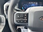 2025 Ford F-150 SuperCrew Cab 4x4 Pickup for sale #250782 - photo 20