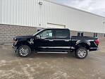 2025 Ford F-150 SuperCrew Cab 4x4 Pickup for sale #250826 - photo 9