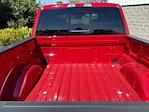 2025 Ford F-150 SuperCrew Cab 4x4 Pickup for sale #250852 - photo 12