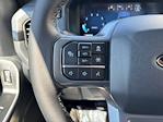 2025 Ford F-150 SuperCrew Cab 4x4 Pickup for sale #250852 - photo 20