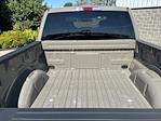 2025 Ford F-150 SuperCrew Cab 4WD Pickup for sale #250856 - photo 12