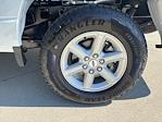 2025 Ford F-150 SuperCrew Cab 4WD Pickup for sale #250874 - photo 9