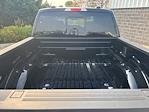 2025 Ford F-150 SuperCrew Cab 4WD Pickup for sale #250888 - photo 12