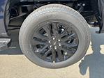 2025 Ford F-150 SuperCrew Cab 4WD Pickup for sale #250902 - photo 10