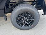 2025 Ford F-150 SuperCrew Cab 4WD Pickup for sale #250933 - photo 10