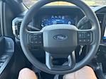 2025 Ford F-150 SuperCrew Cab 4WD Pickup for sale #250933 - photo 18