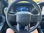 2025 Ford F-150 SuperCrew Cab 4WD Pickup for sale #250949 - photo 18