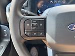 2025 Ford F-150 SuperCrew Cab 4WD Pickup for sale #250950 - photo 18