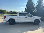 2025 Ford F-150 SuperCrew Cab 4WD Pickup for sale #250952 - photo 6