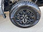 2025 Ford F-150 SuperCrew Cab 4WD Pickup for sale #250997 - photo 10