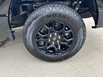 2025 Ford F-150 SuperCrew Cab 4WD Pickup for sale #250998 - photo 10