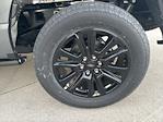 2025 Ford F-150 SuperCrew Cab 4WD Pickup for sale #251003 - photo 10