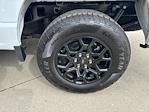 2025 Ford F-150 SuperCrew Cab 4WD Pickup for sale #251041 - photo 10