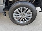 New 2025 Ford F-150 XLT SuperCrew Cab for sale #251120 - photo 10