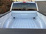 New 2025 Ford F-150 XLT SuperCrew Cab for sale #251136 - photo 12