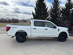 2025 Ford F-150 SuperCrew Cab 4WD Pickup for sale #251260 - photo 5