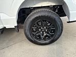 2025 Ford F-150 SuperCrew Cab 4WD Pickup for sale #251300 - photo 9