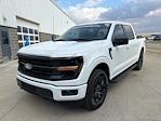 2025 Ford F-150 SuperCrew Cab 4WD Pickup for sale #251300 - photo 3