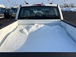 New 2026 Ford F-150 XL SuperCrew Cab for sale #260240 - photo 12