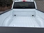 New 2026 Ford F-150 XL Regular Cab for sale #260310 - photo 12