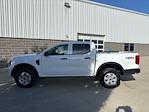 New 2026 Ford Ranger XL SuperCrew Cab for sale #260314 - photo 8