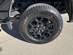 2025 Ford F-150 SuperCrew Cab 4WD Pickup for sale #J2009 - photo 11