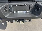 2024 Ford F-350 Regular Cab SRW 4WD Pickup for sale #J2111 - photo 12