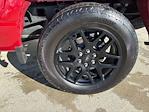2025 Ford F-150 SuperCrew Cab 4WD Pickup for sale #R1450 - photo 12