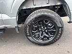 2024 Ford F-150 SuperCrew Cab 4WD Pickup for sale #R1451 - photo 10